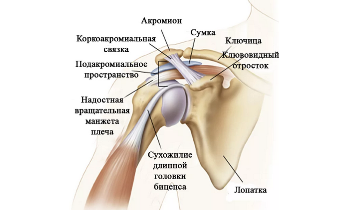 Боли в плече